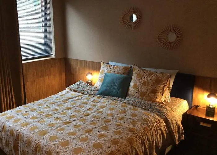 A Bouillon, Vintage Vue Sur Le Chateau Appartement Bouillon